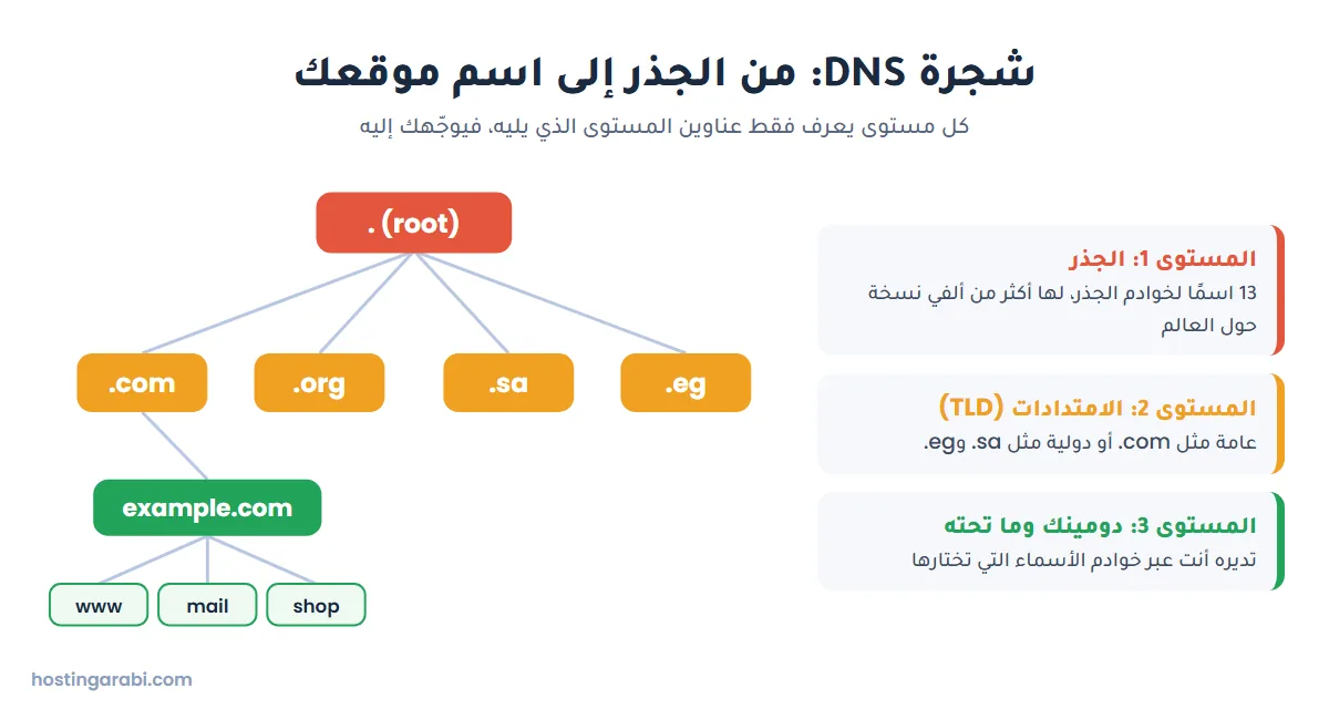 شجرة هرمية DNS من الجذر إلى امتدادات com وorg وsa وeg ثم الدومين والنطاقات الفرعية