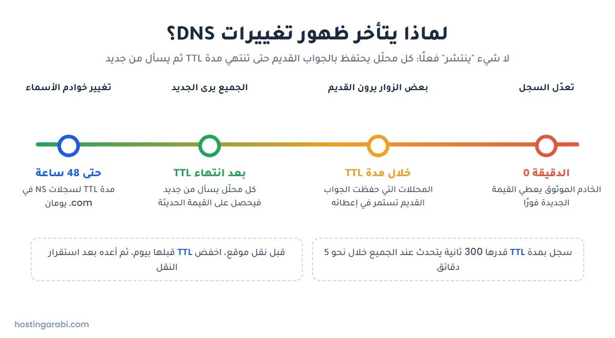 خط زمني يوضح تأخر تحديث سجلات DNS حتى تنتهي مدة TTL وتأخر تغيير خوادم الأسماء حتى 48 ساعة
